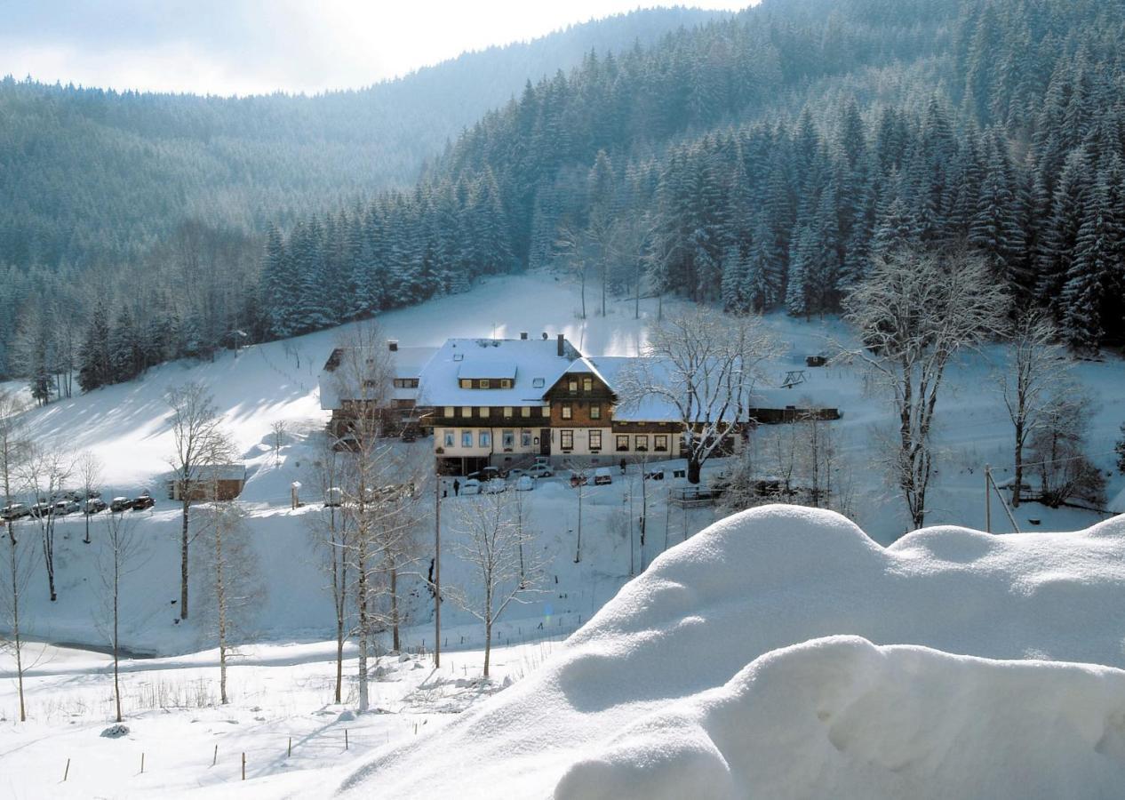 Waldhotel Fehrenbach Hinterzarten Zewnętrze zdjęcie
