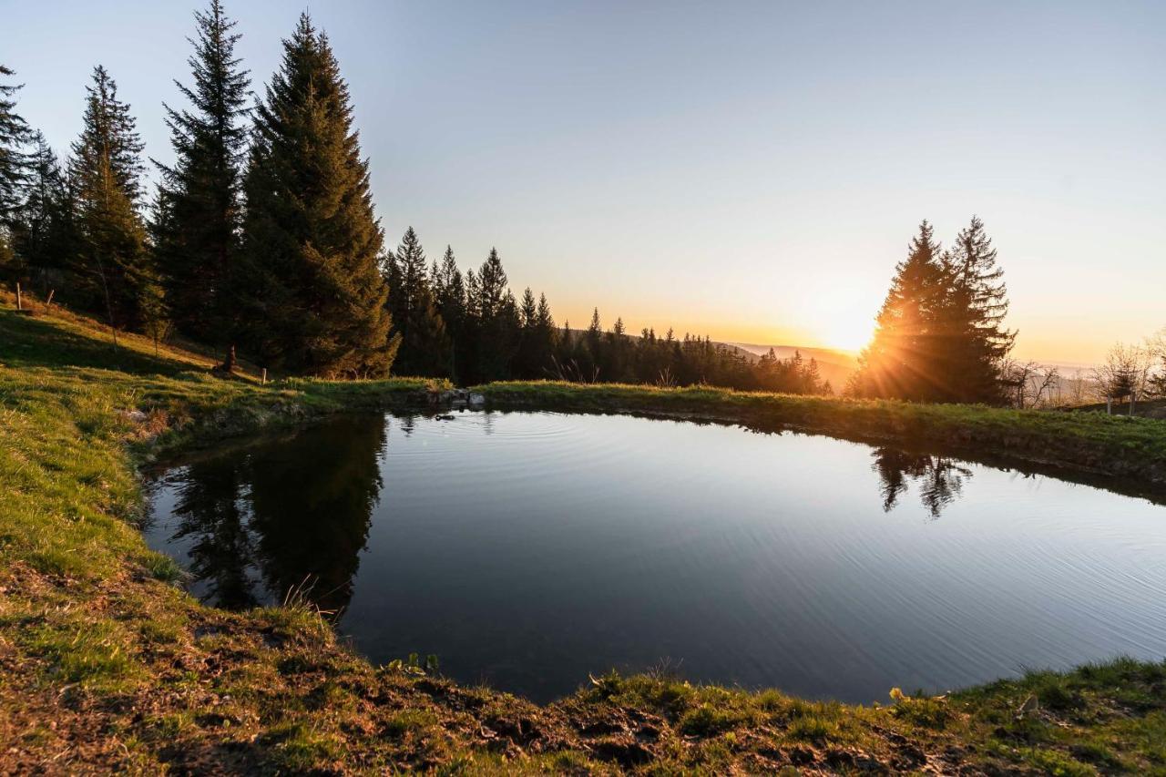 Waldhotel Fehrenbach Hinterzarten Zewnętrze zdjęcie